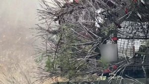 Уничтожение замаскированных позиций подразделений ВСУ в зоне проведения СВО в ЛНР