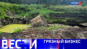 Вести Санкт-Петербург. Выпуск 11.30 от 23.10.2025