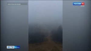 Сыктывкарцы застали туманное утро
