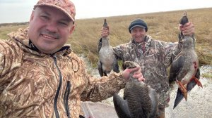 Охота на гуся октябрь 2025