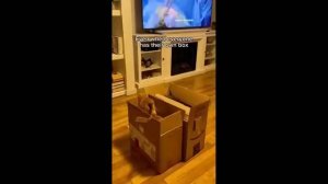 COUB compilation _ нарезка COUB -686