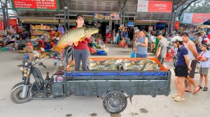 Хуонг ловит карпа на местном рыбхозе, чтобы продать на рынке.