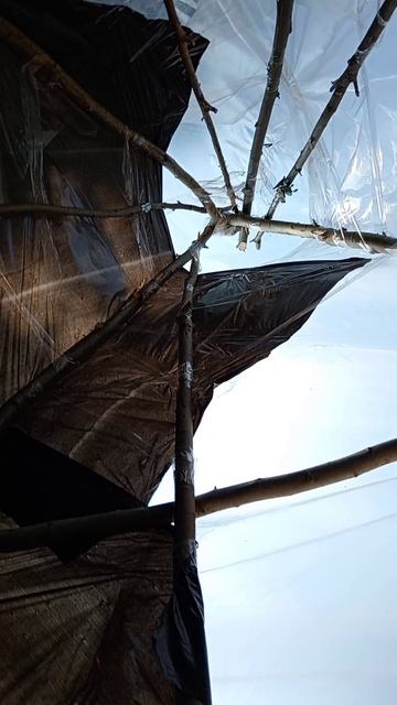 Баня на море!? Да легко! #мещанскоеболото #дачузафигачу #дача #обзордачи #частныедома #фазенда смотреть онлайн