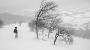 Интересная история из жизни «МЕТЕЛЬ ЖИЗНИ».