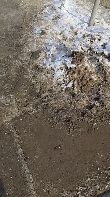 №142. ул. Белинского. 24 февраля 2025 г., 11:23:39. VID_20250224_112245673