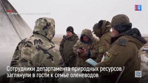 Белый медведь заглянул в гости к семье оленеводов