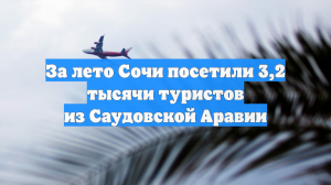 За лето Сочи посетили 3,2 тысячи туристов из Саудовской Аравии