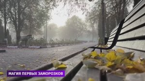 Птицы улетели «на юга», а в Губкине в это время «стукнули» первые заморозки