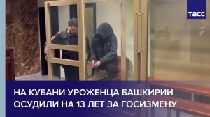 На Кубани уроженца Башкирии осудили на 13 лет за госизмену