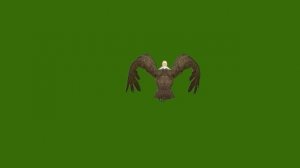 Гр 16