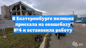 В Екатеринбурге полиция приехала на овощебазу №4 и остановила работу