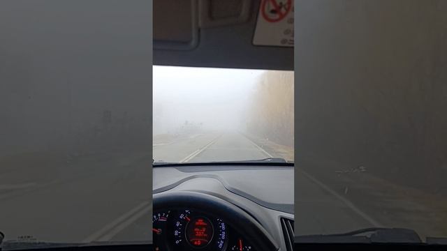 Туман на трассе смотреть онлайн