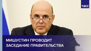 Мишустин проводит заседание правительства