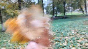 #ах эта осень голову вскружила