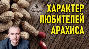 Характер тех кто любит есть арахис. А вам нравится арахисовая паста? Феноменальная психология еды