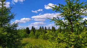 Как прекрасен этот мир