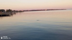 Акватория набережной Керчи, 16 октября 2025.