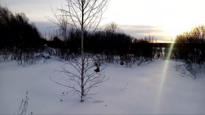 Прогулка на лыжах