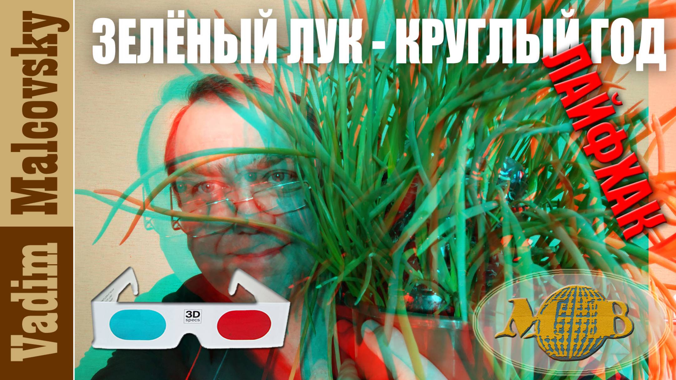 3D stereo red-cyan Зелёный лук круглый год лайфхак. Мальковский Вадим