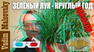 3D stereo red-cyan Зелёный лук круглый год лайфхак. Мальковский Вадим