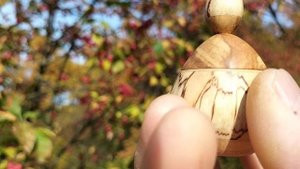 Шкатулка на бересклете европейском