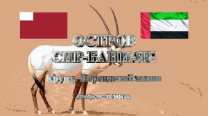 КРУИЗ. ПЕРСИДСКИЙ ЗАЛИВ. ОСТРОВ СИР-БАНИ-ЯС. ПАРК ДИКОЙ ПРИРОДЫ. КОРАБЛЬ EURIBIA.