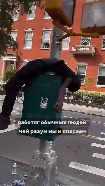 Матрица это система. юмор.