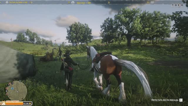 ✸Red Dead Online✸ Тест