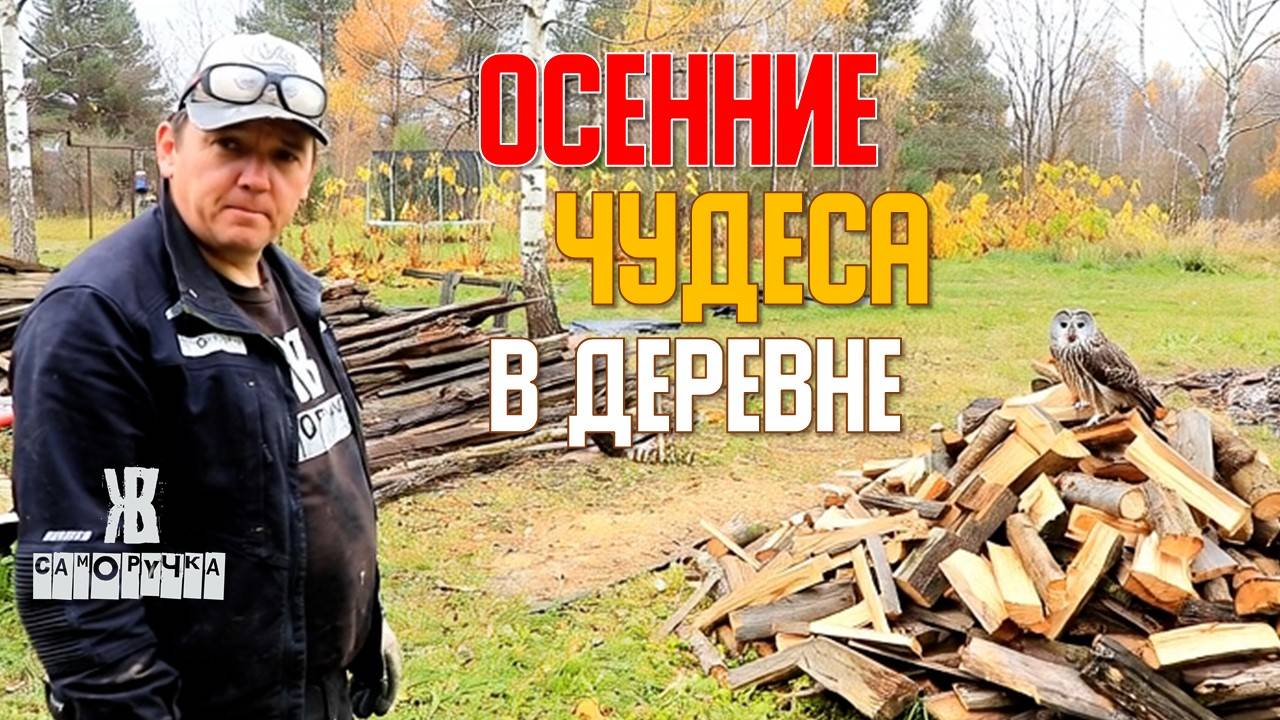 Фантастическая история в деревне!  Теплица «Саморучка»: Честный отзыв через 5 лет. Что сломалось?