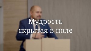 «Мудрость скрытая в поле» — Проповедь | Масюк Тарас Любославович