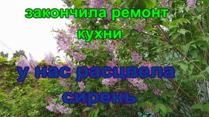 № 944 закончила ремонт кухни // у нас расцвела сирень