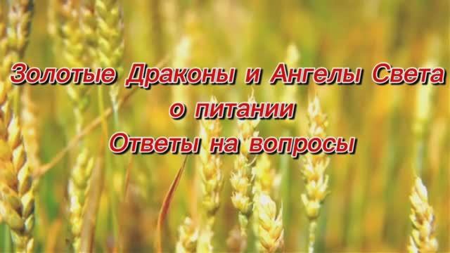 Золотые Драконы и Ангелы Света о питании. Ответы на вопросы 14.09.2025г (139 Послание)