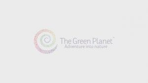 The Green Planet (ОАЭ)