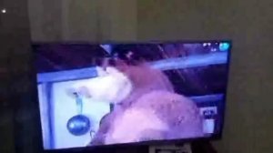 попробовал новый голос, как вам? и да снимать гнома?