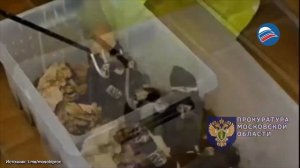 В Подмосковье подросток держал дома коллекцию ядовитых змей