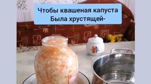 Чтобы квашеная капуста хрустящей и вкусной стала. Советы.