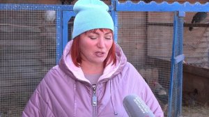 Животных, живущих в Первомайском парке Благовещенска, перевозят в тёплые вольеры