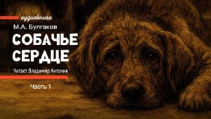 «Собачье сердце». М.А. Булгаков. Часть 1. Аудиокнига. Читает Владимир Антоник.