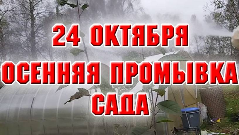 24 октября. Осенняя промывка сада