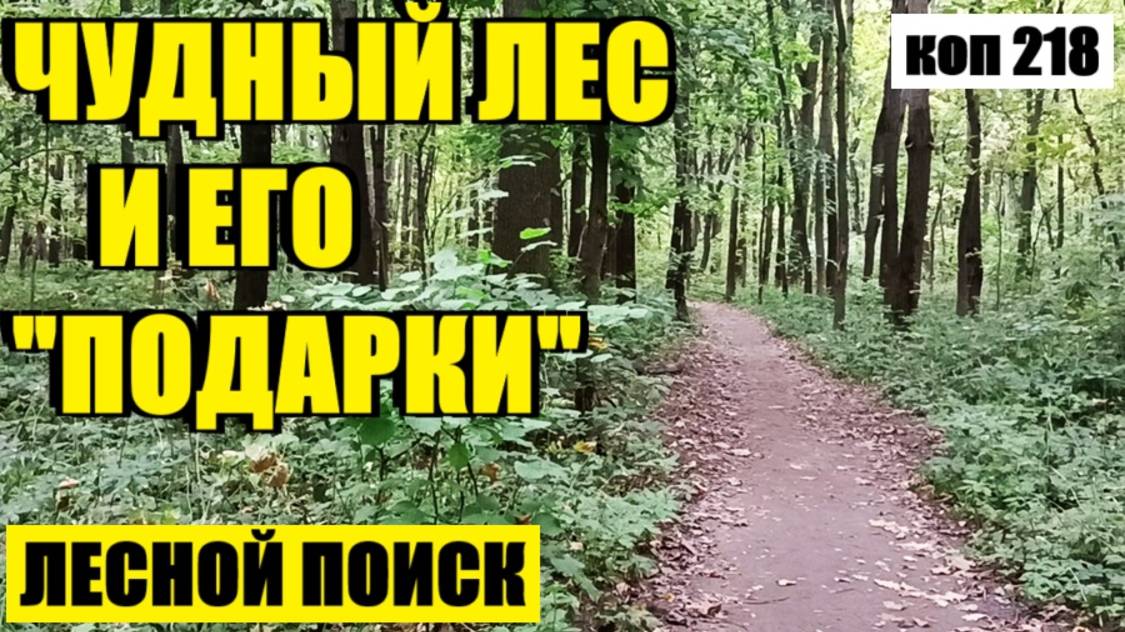 БЕЗ НАХОДОК НЕ ОСТАЛСЯ. коп 218