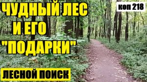 или БЕЗ НАХОДОК НЕ ОСТАЛСЯ. коп 218