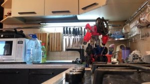 VID_20251024_220259_608.mp4