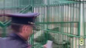 В Ингушетии для детей полицейских, погибших при исполнении долга, организован выезд в зоопарк