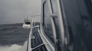 Ознакомительный тур туроператоров из Королевства Саудовская Аравия - Завидово