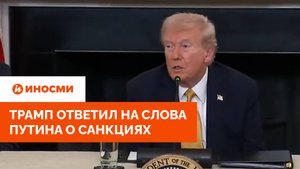 «Через полгода». Трамп ответил на слова Путина о санкциях