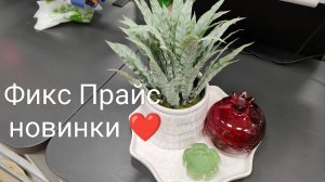 🌿 Фикс Прайс НОВИНКИ🥰Обзор лучших товаров из Fix price 2025