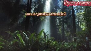 Притча о счастье.