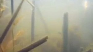 Видео от За Трофеем: Охота и Рыбалка