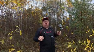 Как ловить форель на платном водоеме не имея ничего