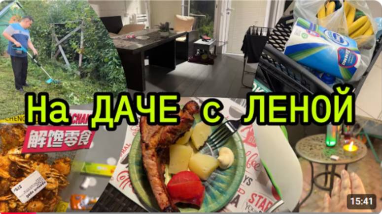 2203 С ЛЕНОЙ на ДАЧЕ\НЕДЕЛЯ в ДОМЕ\ГОТОВЛЮ\ПОЕХАЛИ за КОШКОЙ влог